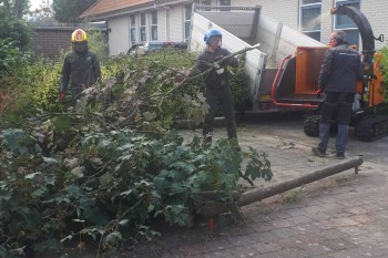 Forst TR6D Gebroeders Van Vliet Tuin en Boomspecialisten